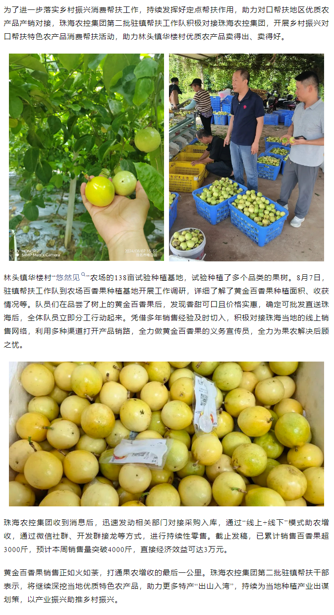 广发（中国）集团助力产销对接 对口帮扶果香飘百里.png